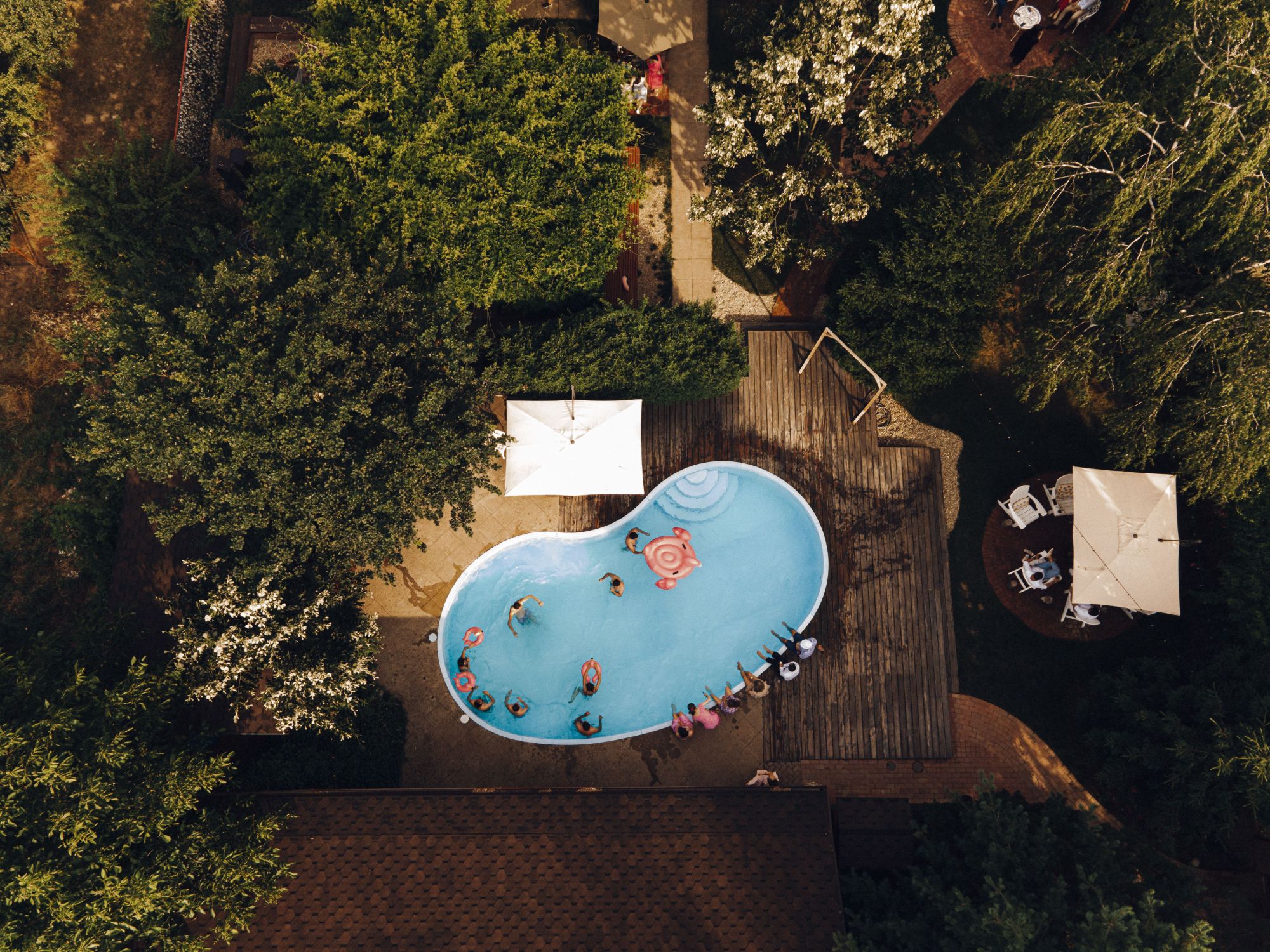 Doris Taylor Pools