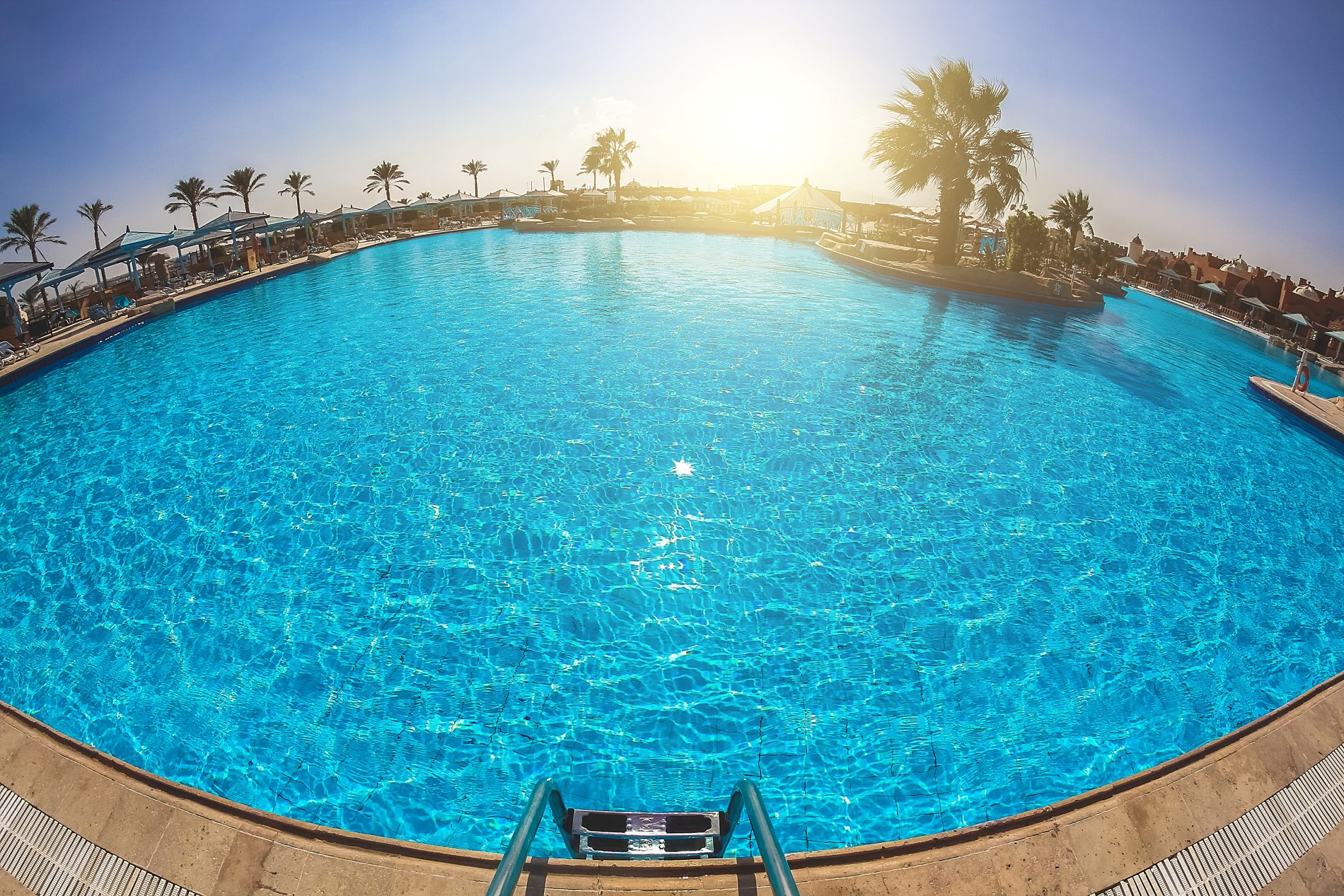 Doris Taylor Pools
