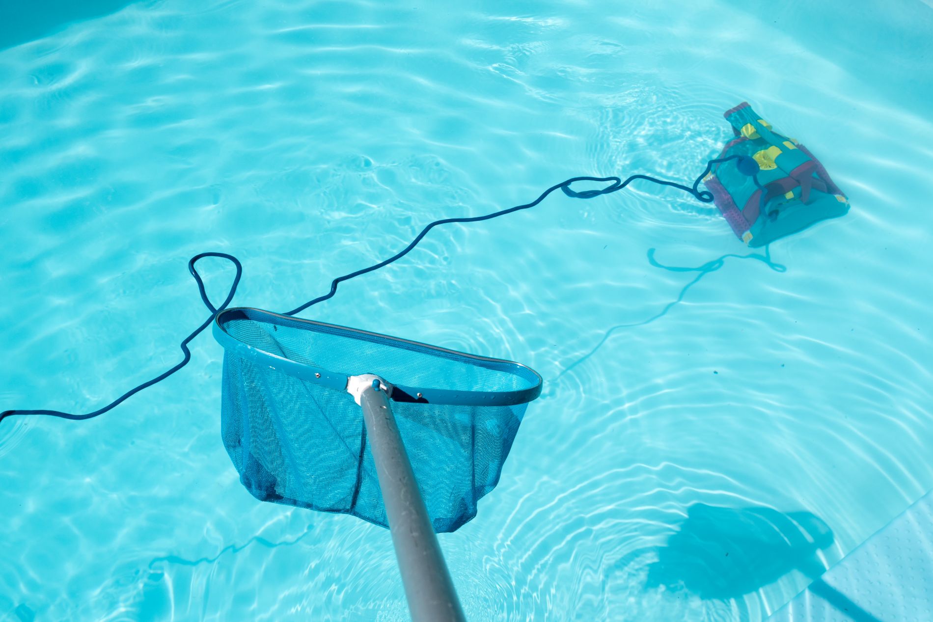 Doris Taylor Pools