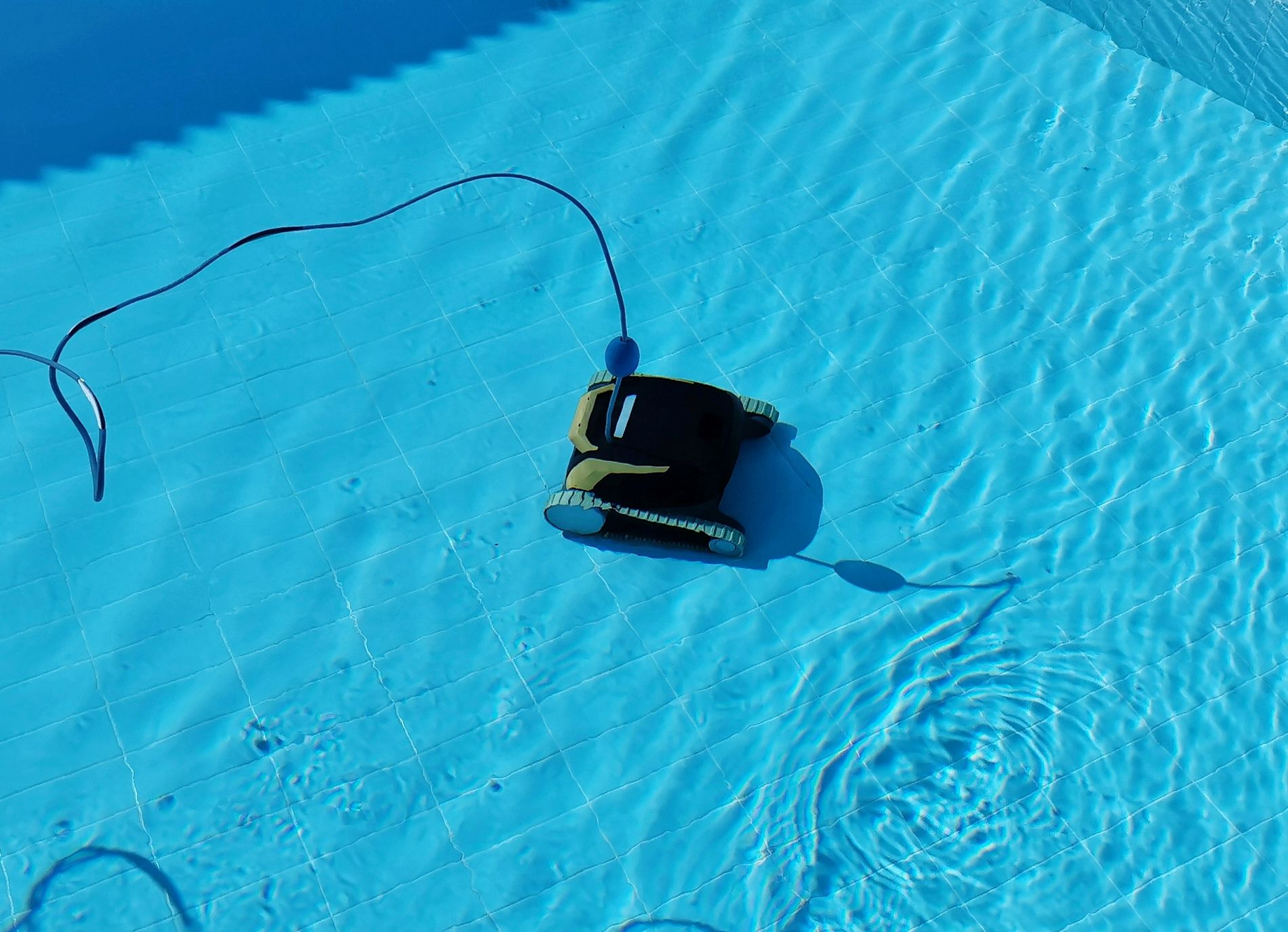 Doris Taylor Pools